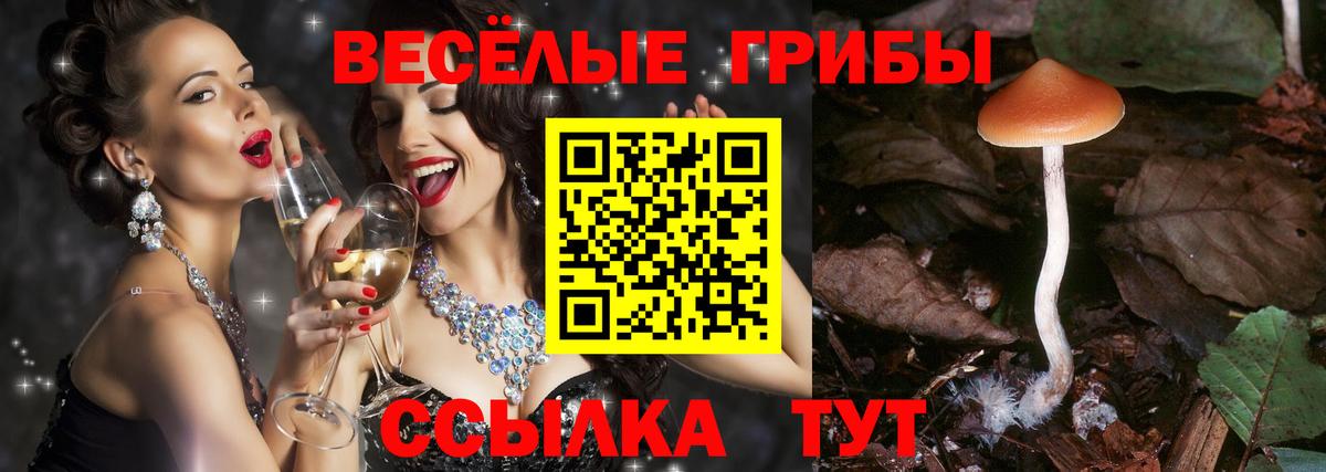 Галлюциногенные грибы мицелий Рязань